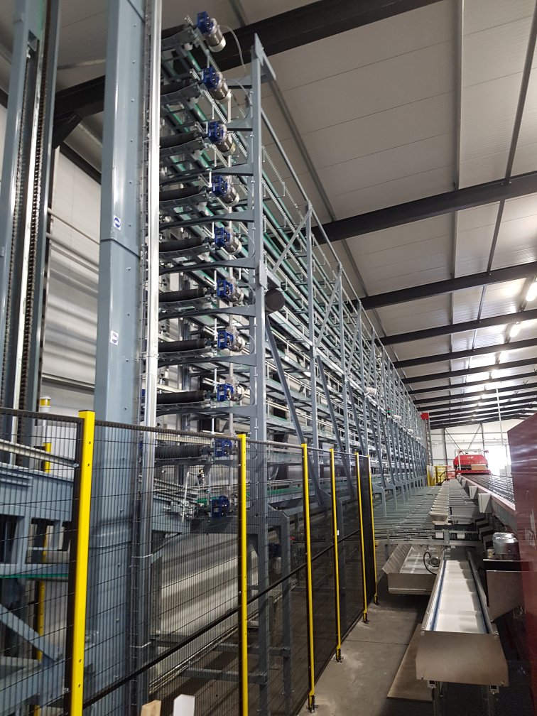 Aweta Kiwi Sorting and Packing Line