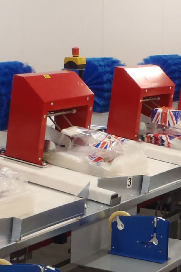 Aweta Apple Sorting and Packing Line