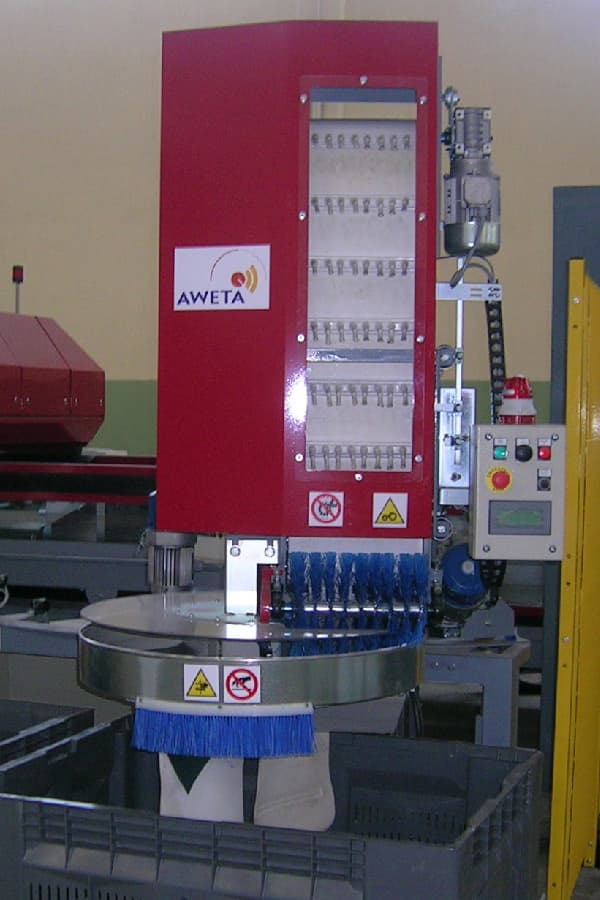 Aweta Apple Sorting and Packing Line