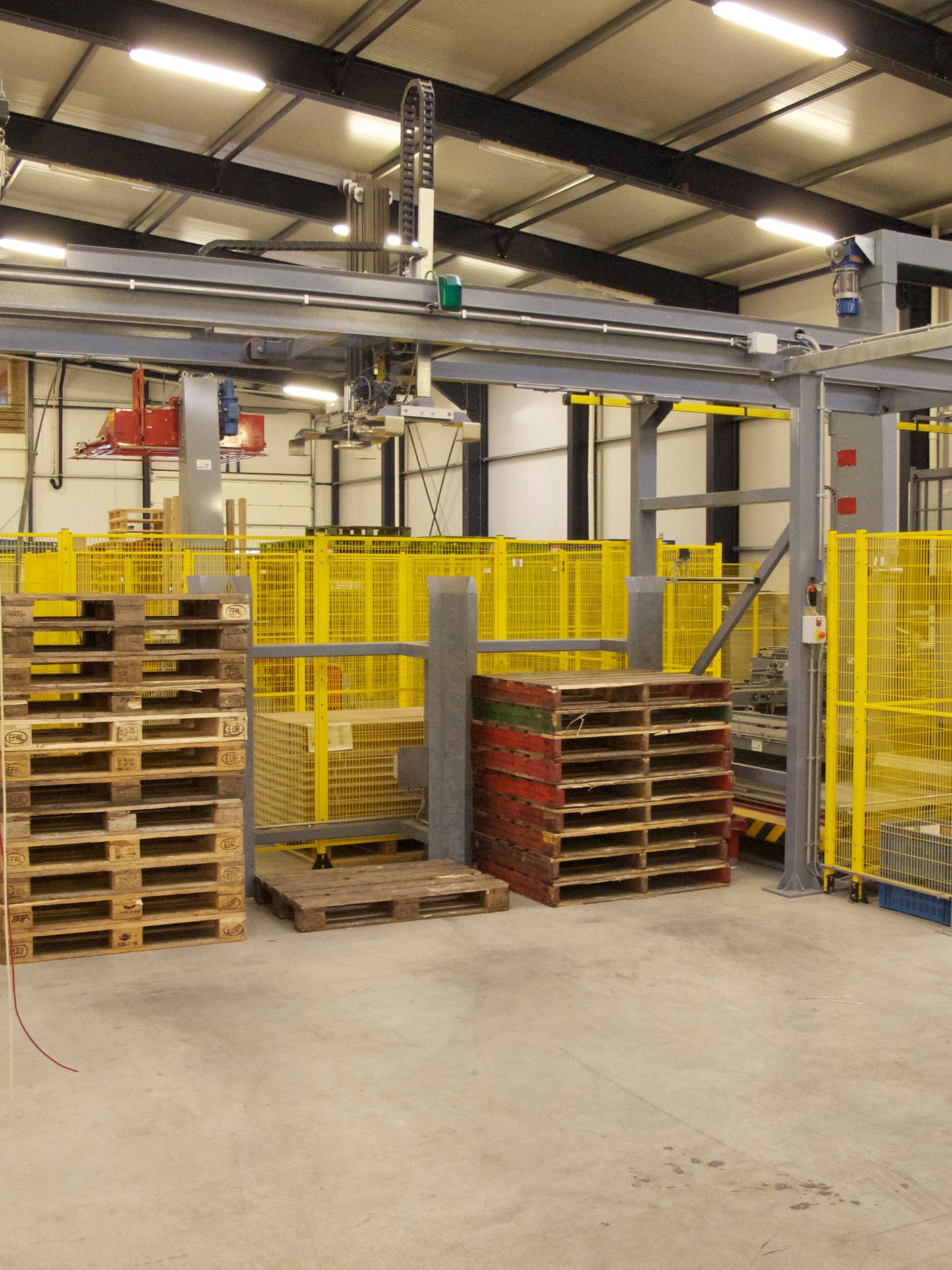 Aweta Pear Sorting and Packing Line
