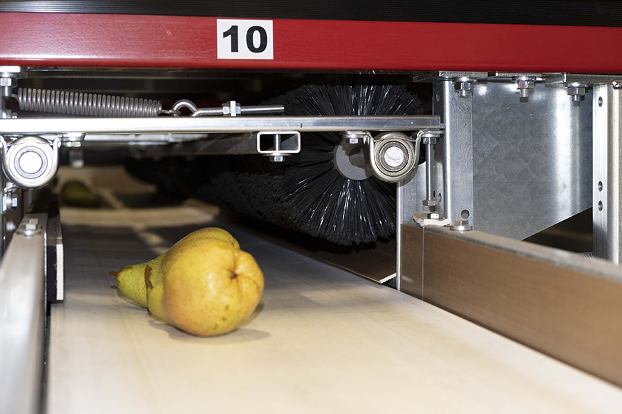 Aweta Pear Sorting and Packing Line