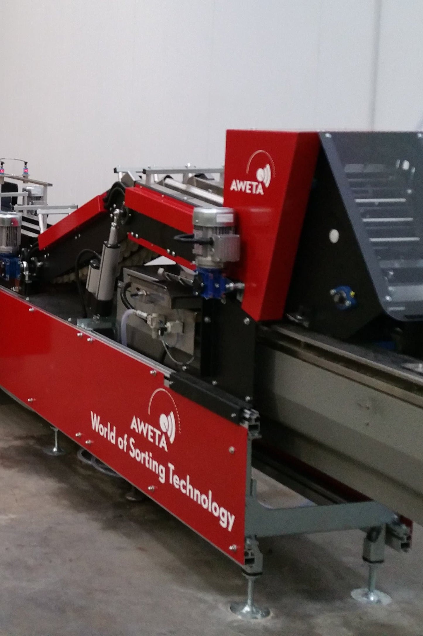 Aweta Apple Sorting and Packing Line
