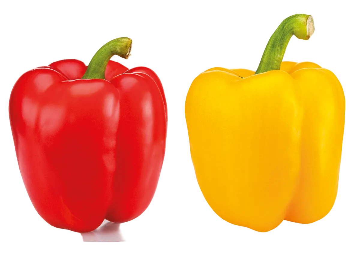 Aweta Pepper Sorting and Packing Line