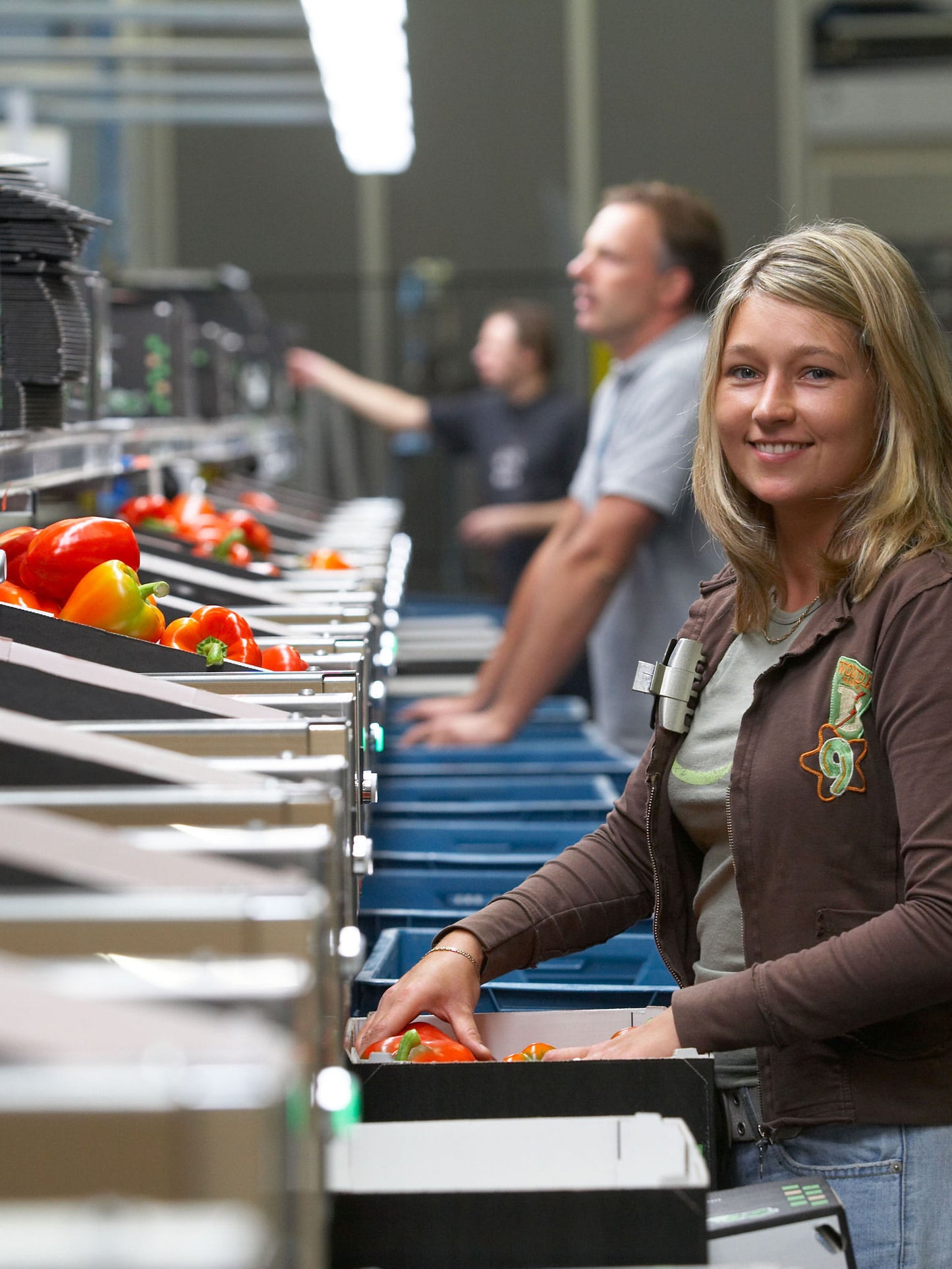 Aweta Pepper Sorting and Packing Line