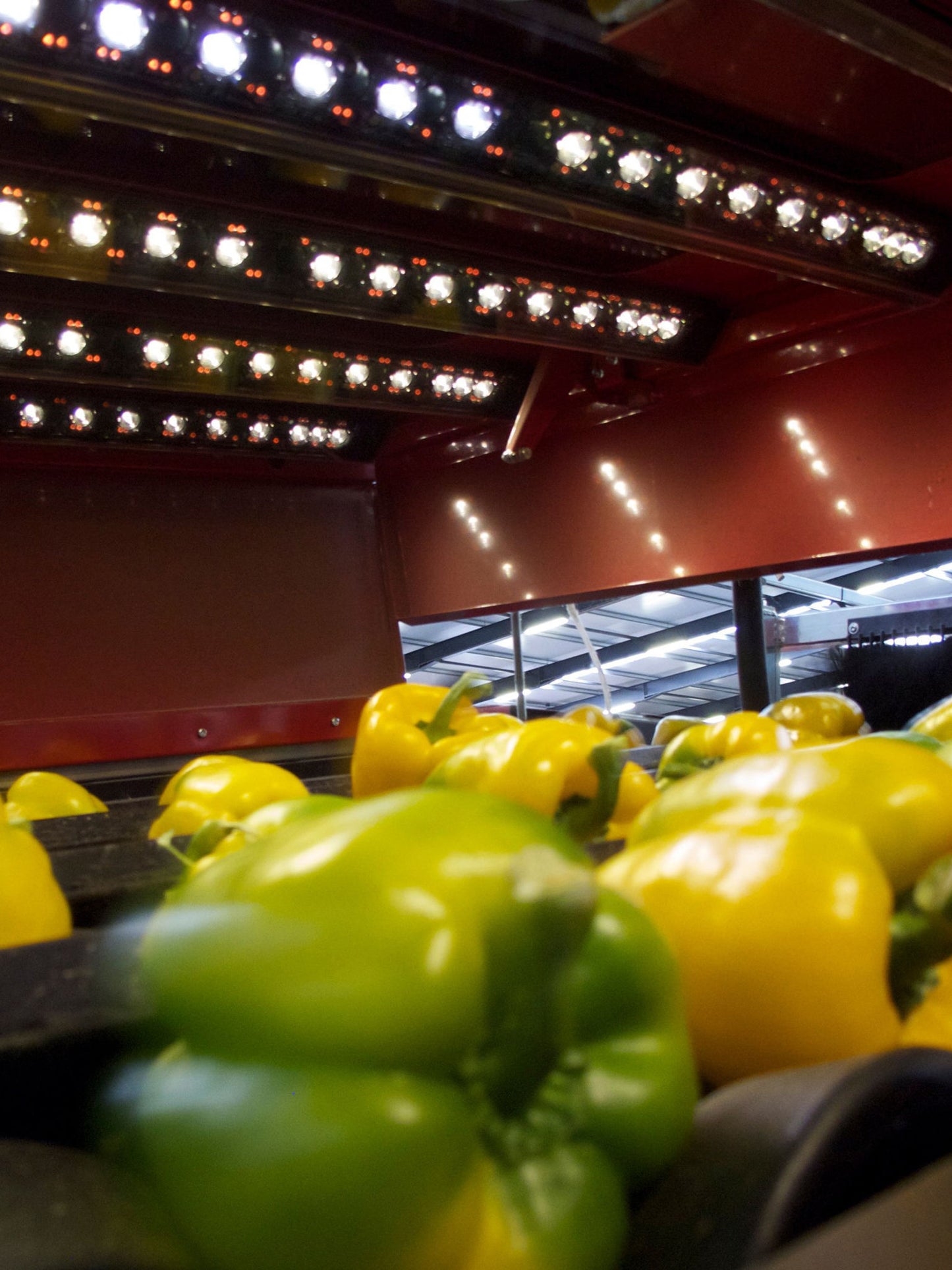 Aweta Pepper Sorting and Packing Line