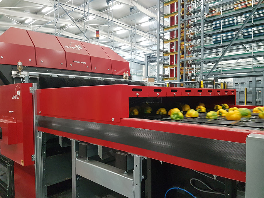 Aweta Pepper Sorting and Packing Line