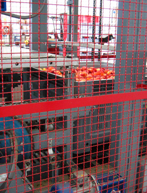 Aweta Stonefruit Sorting and Packing Line