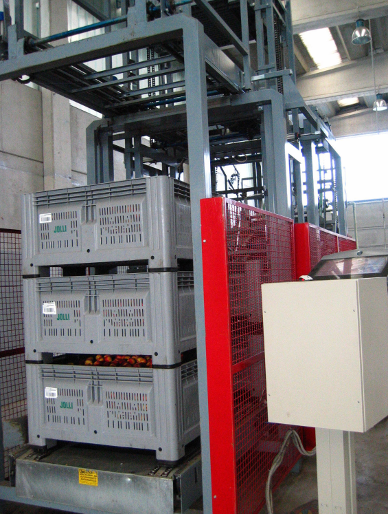 Aweta Stonefruit Sorting and Packing Line