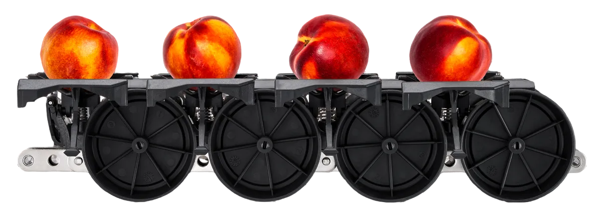 Aweta Stonefruit Sorting and Packing Line