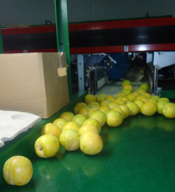 Aweta Stonefruit Sorting and Packing Line