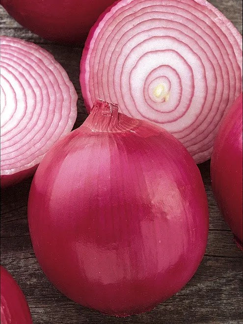 Red Creole Onion