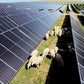 Jinko Solar Tiger Neo III 460W-485W Bifacial Photovoltaic Module solar energy online shopping