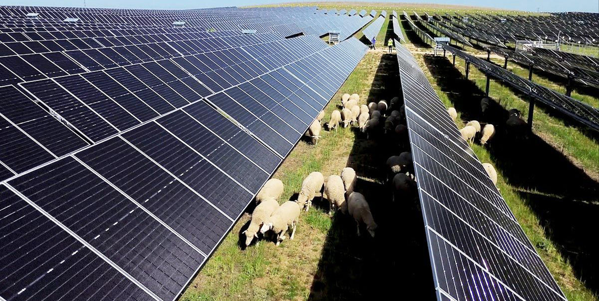 Jinko Solar Tiger Neo III 460W-485W Bifacial Photovoltaic Module solar energy online shopping