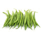 Campo di Fiori Bush Bean Seeds online shopping