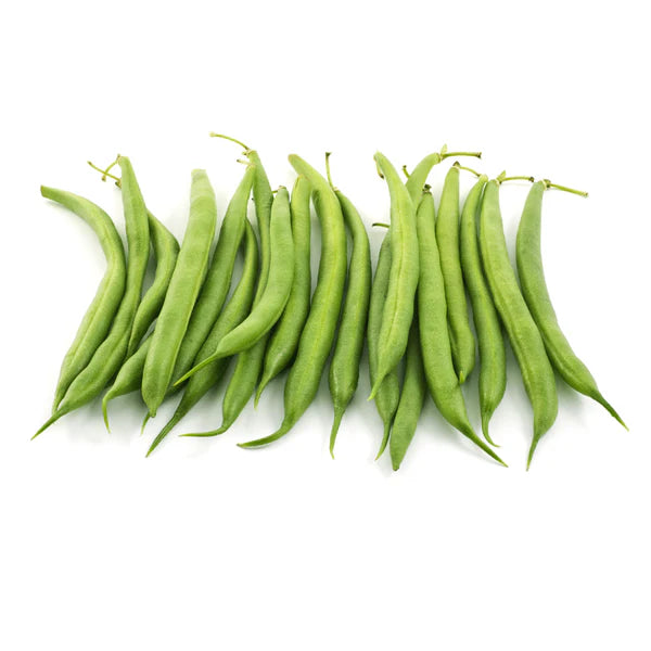 Campo di Fiori Bush Bean Seeds online shopping