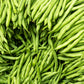 Hilda Pole Bean Seeds online shopping
