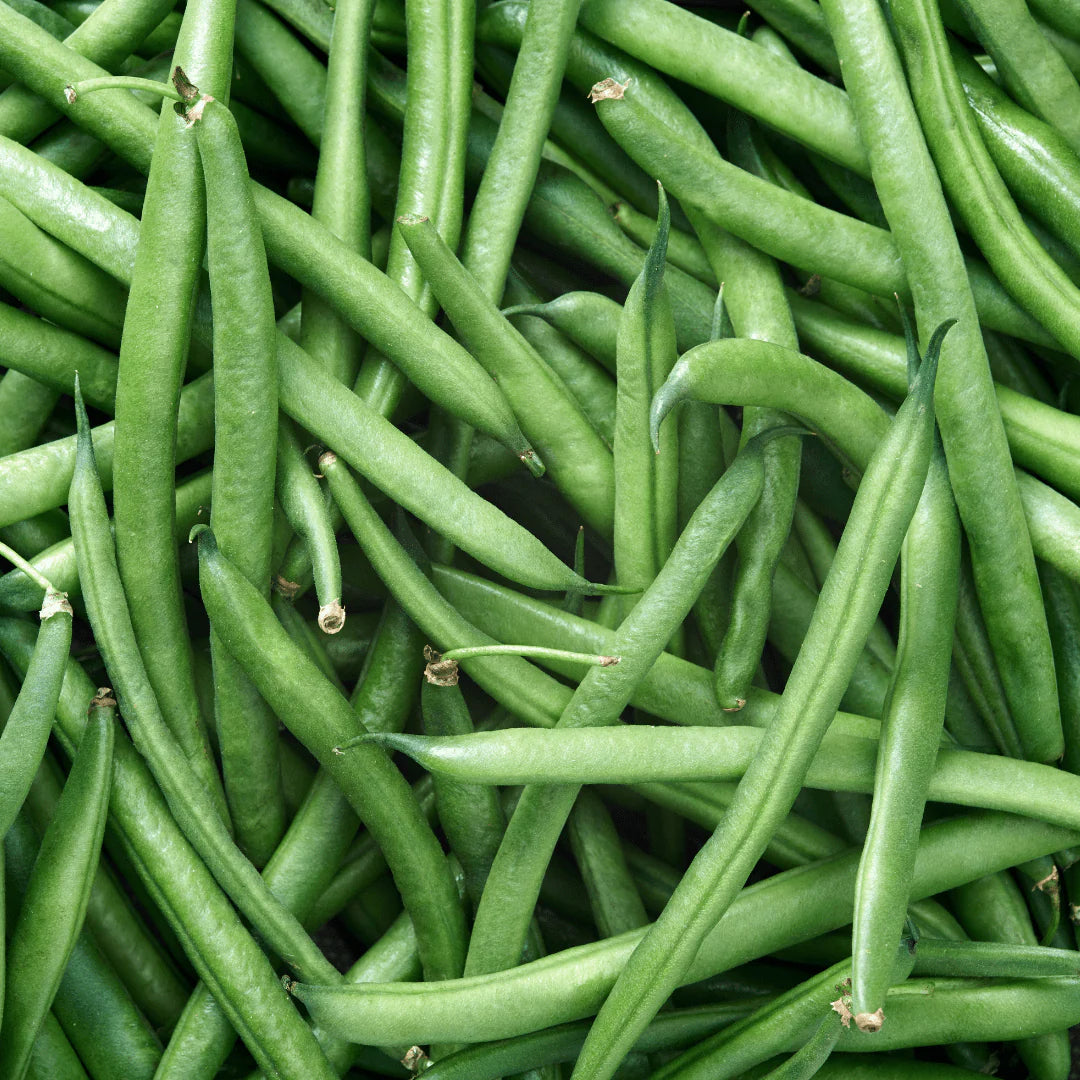 Matilda Pole Bean Seeds online shopping