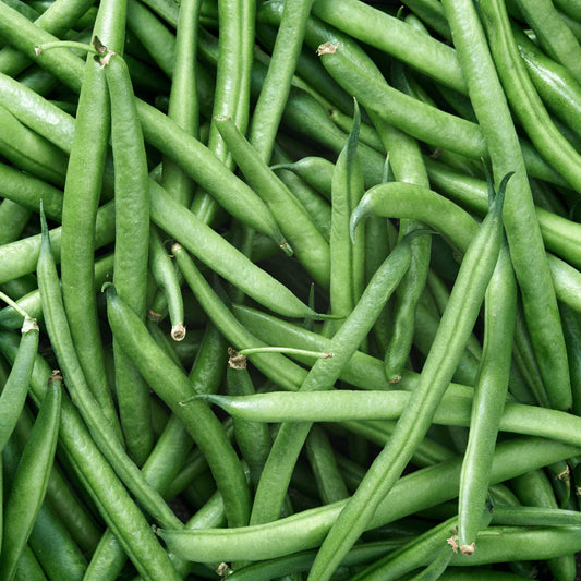 Matilda Pole Bean Seeds online shopping
