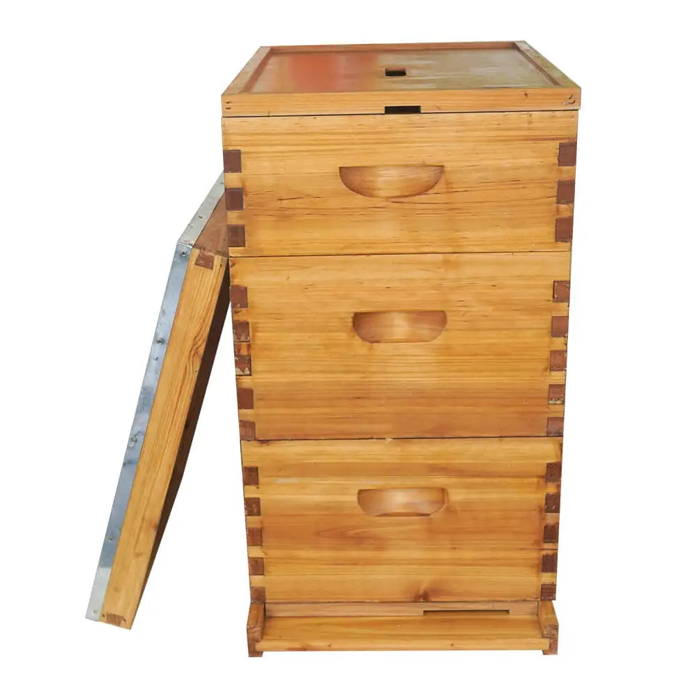 Langstroth Beehive