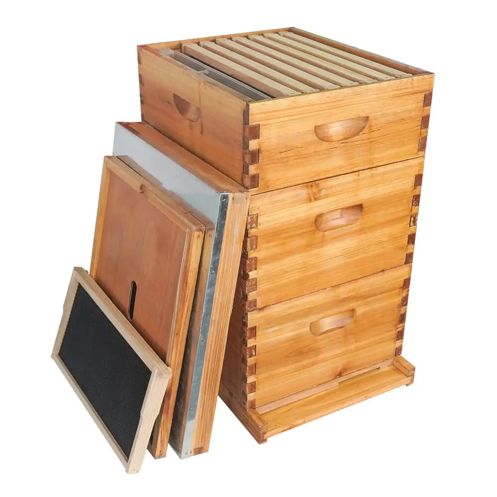 Langstroth Beehive