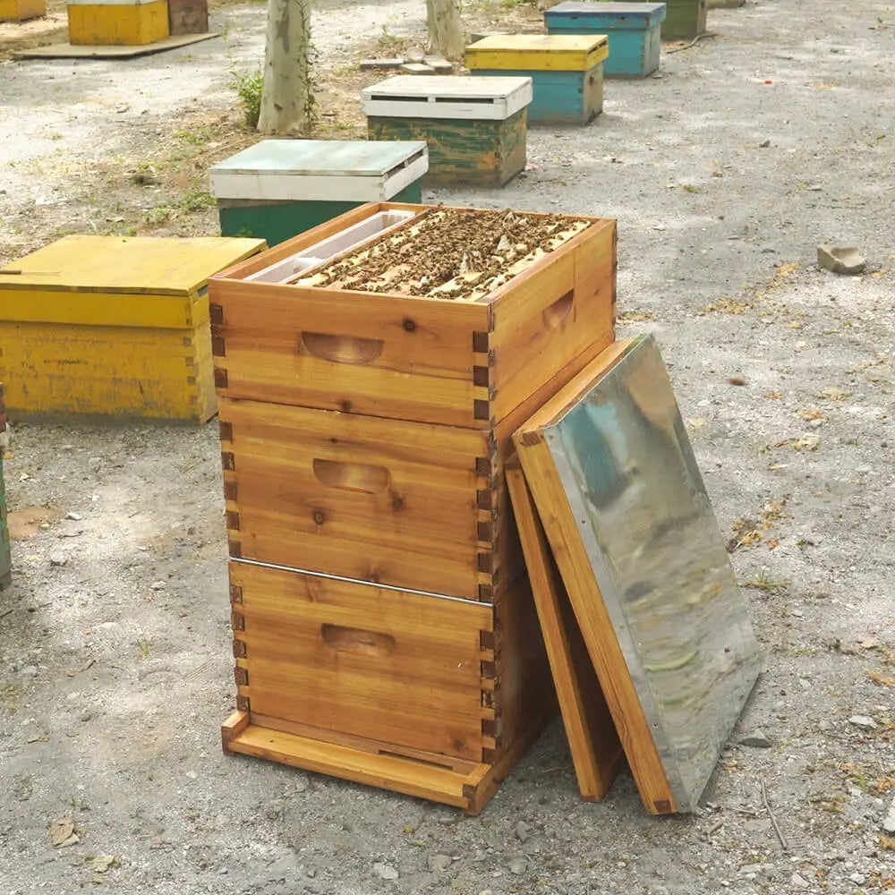 Langstroth Three Layer Beehive