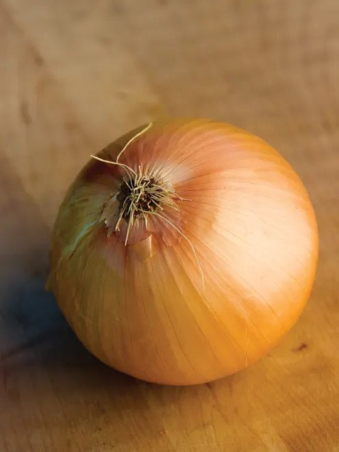 Big Daddy Onion