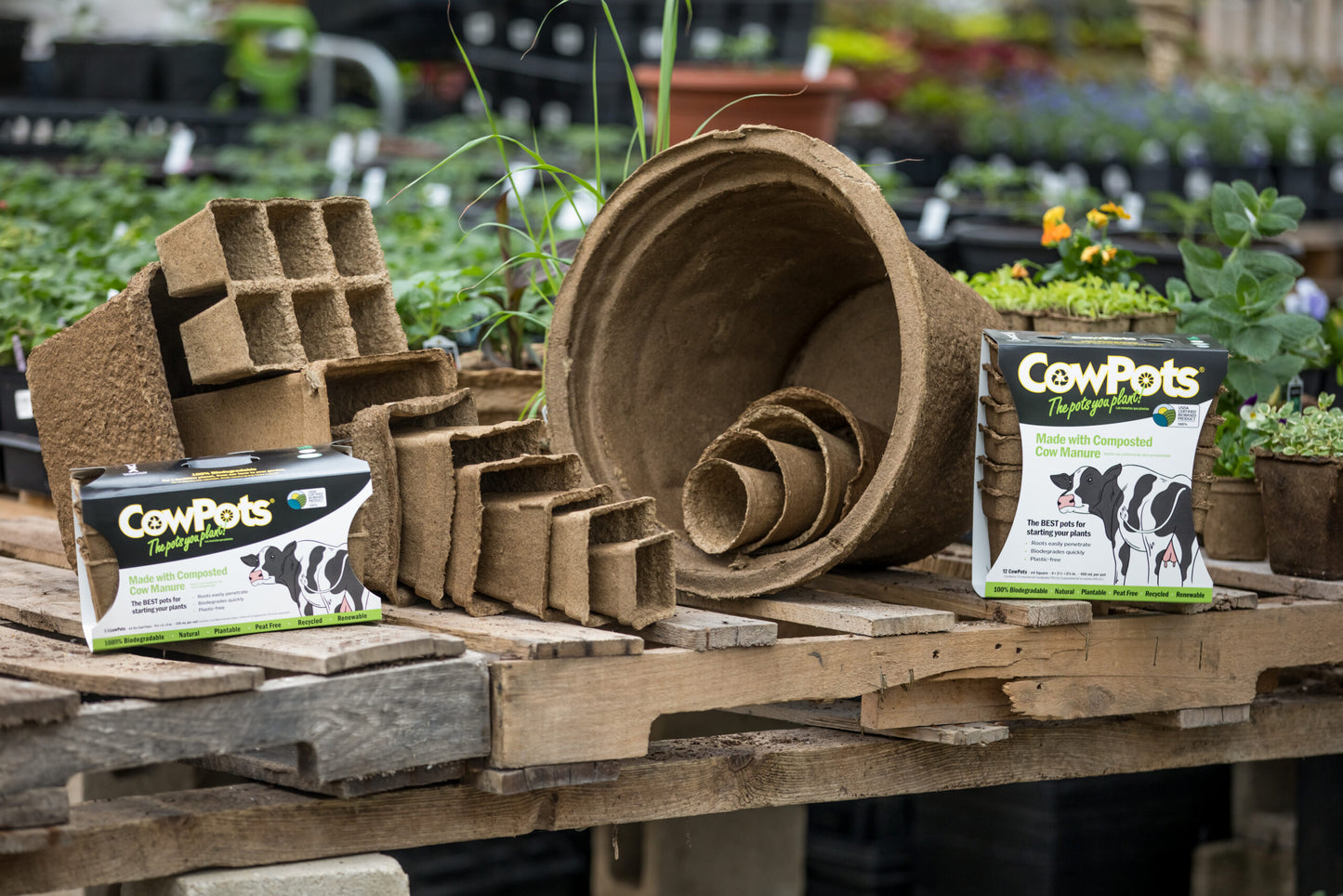 CowPot #17 Round Plantable Pot