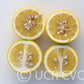 Citrumelo CRC 3341 Trifoliate Hybrid Budwood citrus plant material online shopping