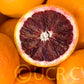 Moro Blood Orange Budwood citrus plant material online shopping