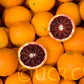 Moro Blood Orange Budwood citrus plant material online shopping