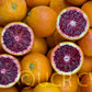 Moro Blood Orange Budwood citrus plant material online shopping