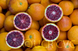 Moro Blood Orange Budwood citrus plant material online shopping