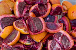 Moro Blood Orange Budwood citrus plant material online shopping