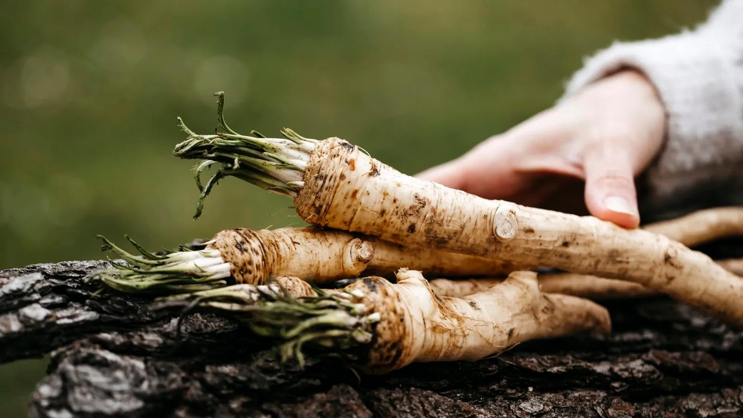 Big Top Horseradish