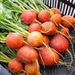 Golden Boy Beet Seeds online shopping