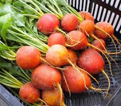 Golden Boy Beet Seeds online shopping