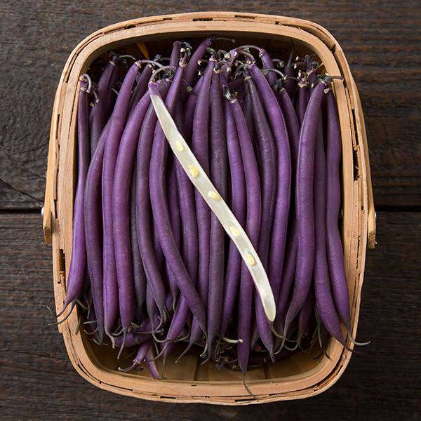 Celine Organic Bush Bean Seeds online shopping