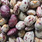 Dragon Tongue Drying Bean Seeds online shopping