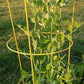 Super Sugar Snap Pea Seeds online shopping