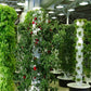 Lyine 40 Pot Vertical Growing Hydroponic Tower with Mechanical Timer