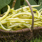 Gold Rush Bush Bean Seeds online shopping