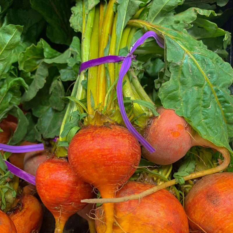 Golden Boy Beet Seeds online shopping