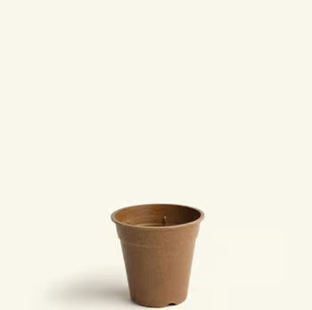 Rice Hull Grower Pots