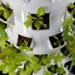 Lyine Vertical Growing Hydroponic Tower with Cube Growing System and Electric Timer