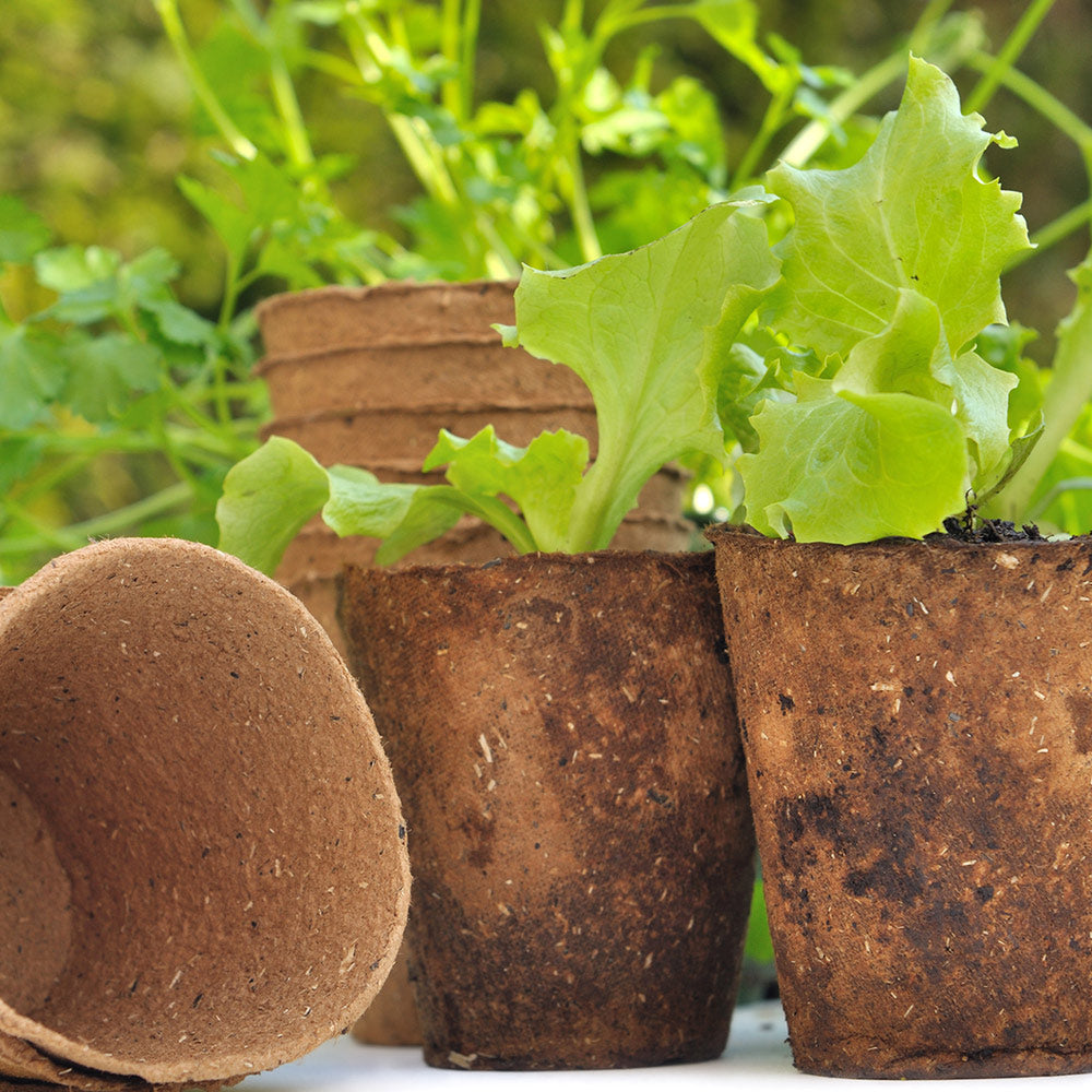 Jiffy Nursery Pots