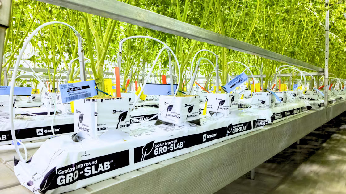 Grodan® Gro Block Improved Big Mama