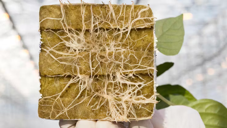 Grodan® Gro Block Improved Big Mama