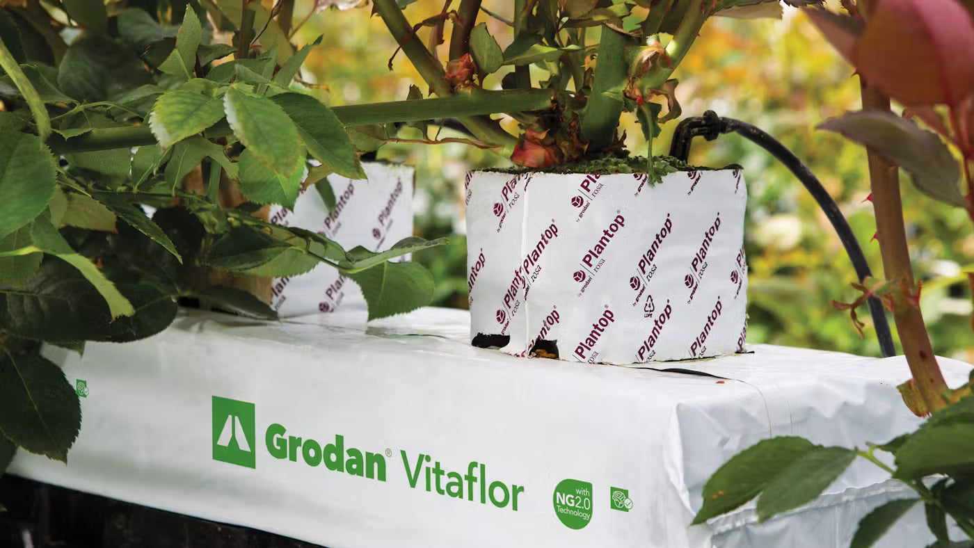 Grodan Vitaflor Slab Floriculture Rock Wool Hydroponics Substrate