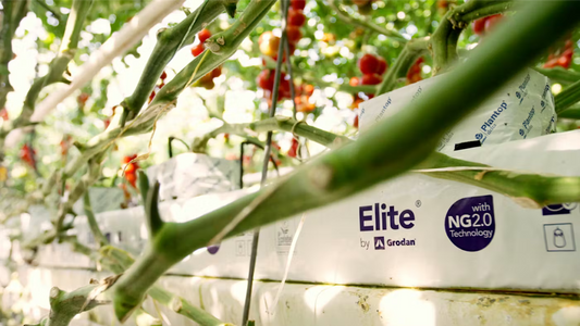 Grodan Elite Slab Tomato Cultivation Rock Wool Hydroponics Substrate