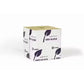Grodan® Gro Block Improved GR10 Large 4''